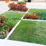 603 * 알부페이라